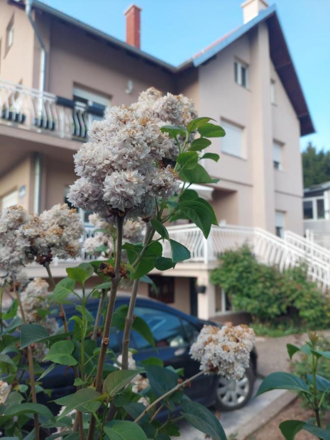 M Apartments Sokobanja Exterior foto